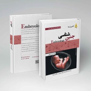 جزوه جنین شناسی